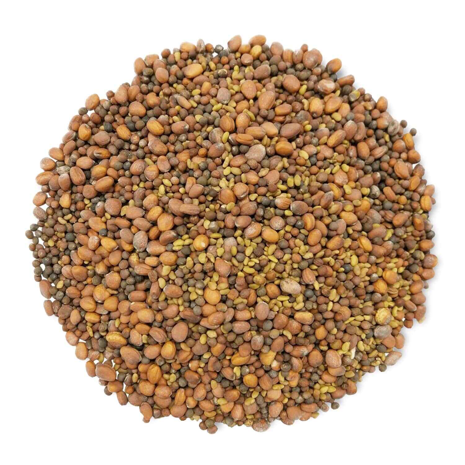 Organic Spicy Mix of Sprouting Seeds – Non-GMO, Kosher – by Food to Live