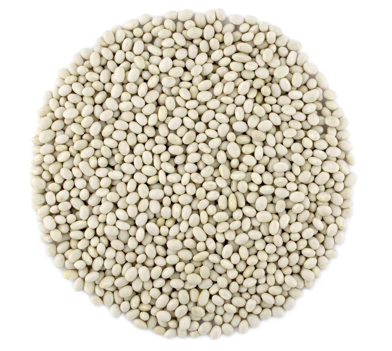BaltoroFoods Organic Navy Beans Raw non GMO Vegan Bulk