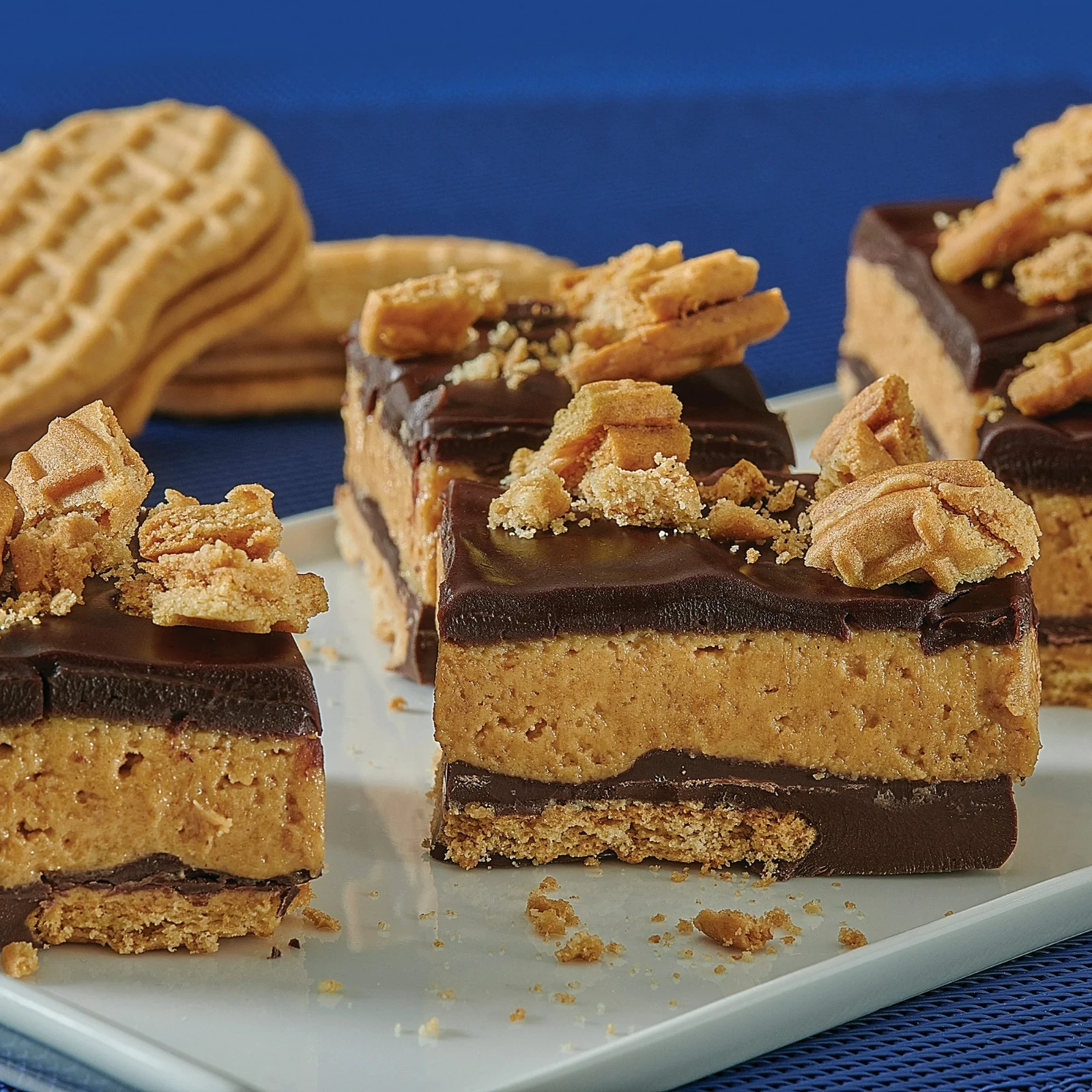NUTTER BUTTER Peanut Butter Sandwich Cookies, Family Size, 16 oz..