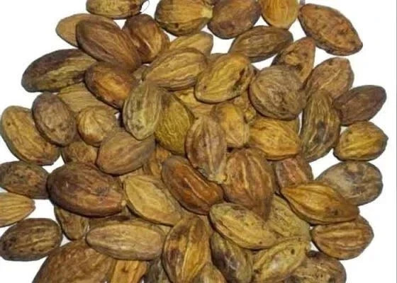Whole Harde Terminalia Chebula | Haritaki | Black Myrobalan Free shipping