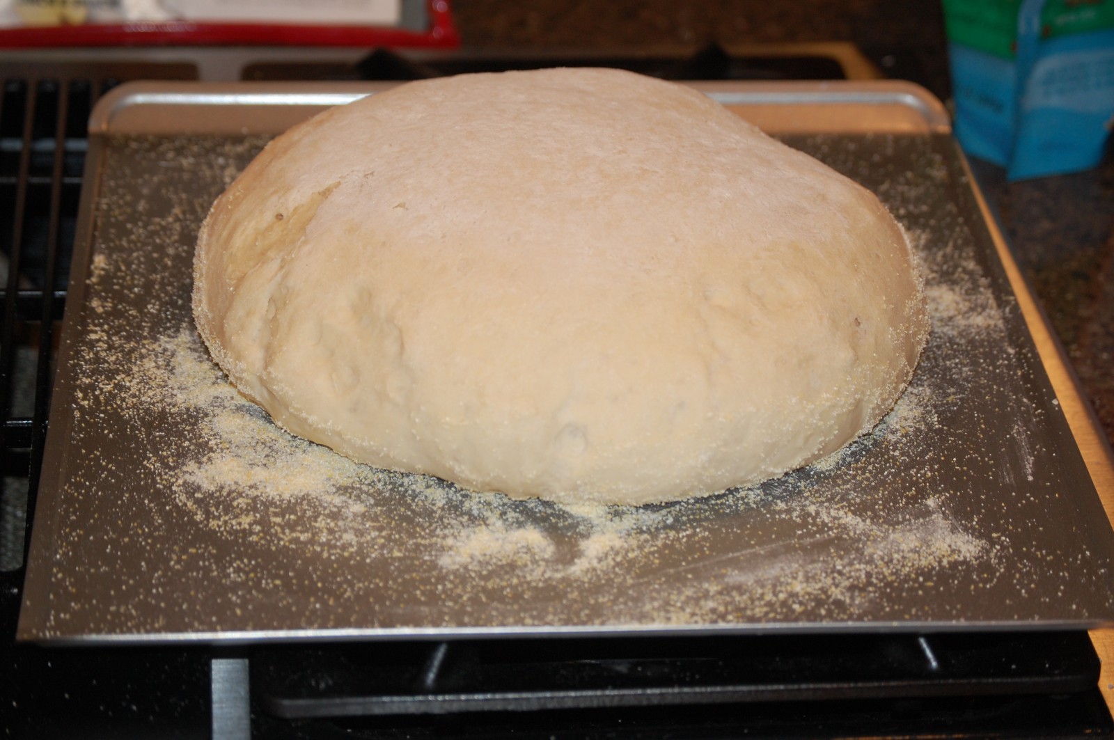 Gluten Free SOURDOUGH BREAD STARTER yeast San Francisco SAMMY plus recipes FRESH
