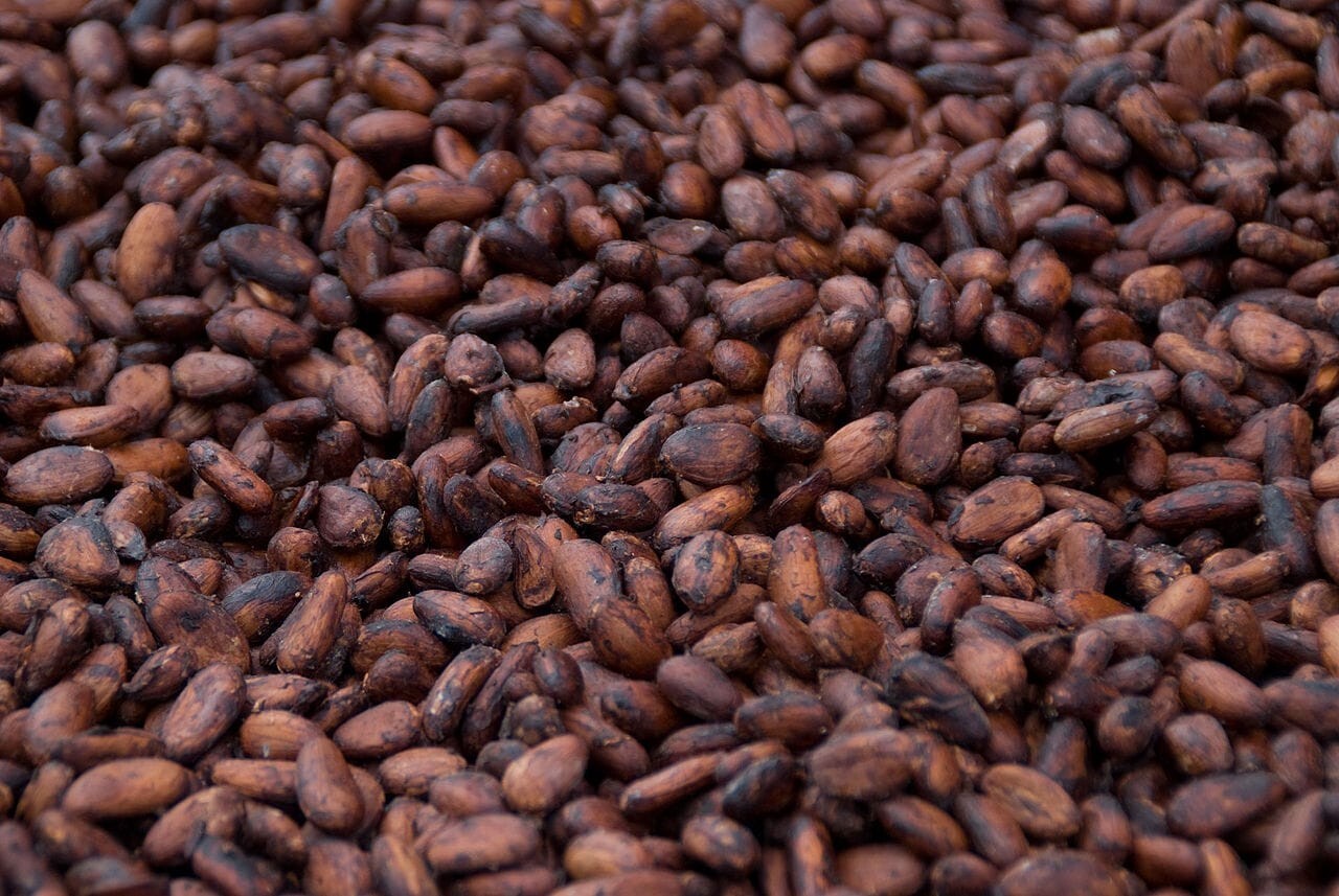 BULK 2 KG Cacao Beans – ORGANIC WHOLE RAW CACAO BEANS FREE POST