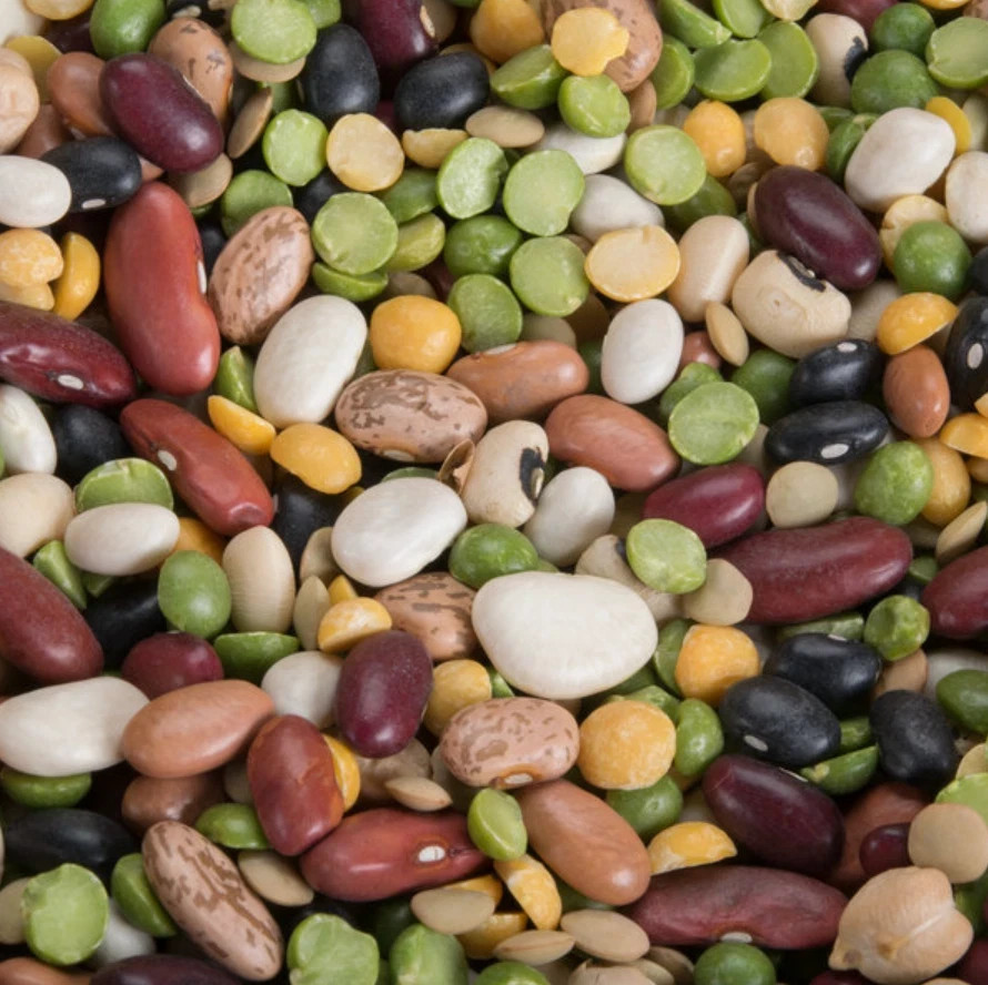 40 lb Bulk Restaurant Diner Hotel Kitchen Supply Assorted Dried Bean Soup Mix