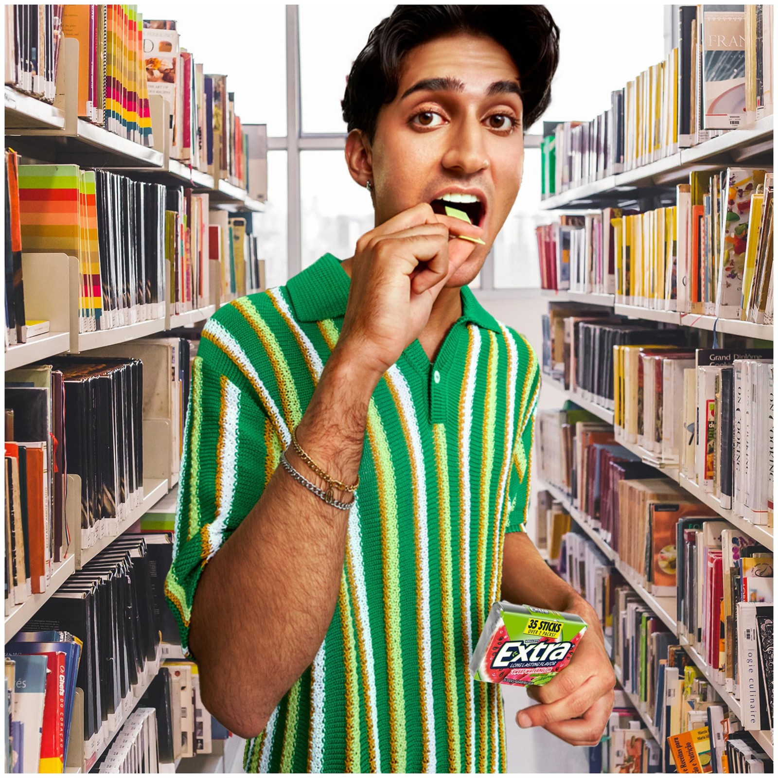 Sugar Free Watermelon Chewing Gum Pack of 6, 35 Sticks – Mega Bulk Supply