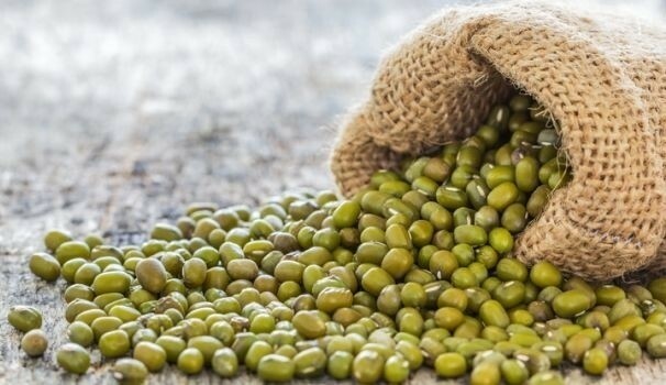 Organic Whole MUNG Beans ‘Green Gram’ ‘Moong’ Prewashed Clean non GMO