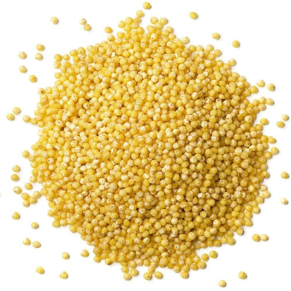 Organic Hulled Millet — Non-GMO, Kosher, Raw, Bulk — by Food to Live ®