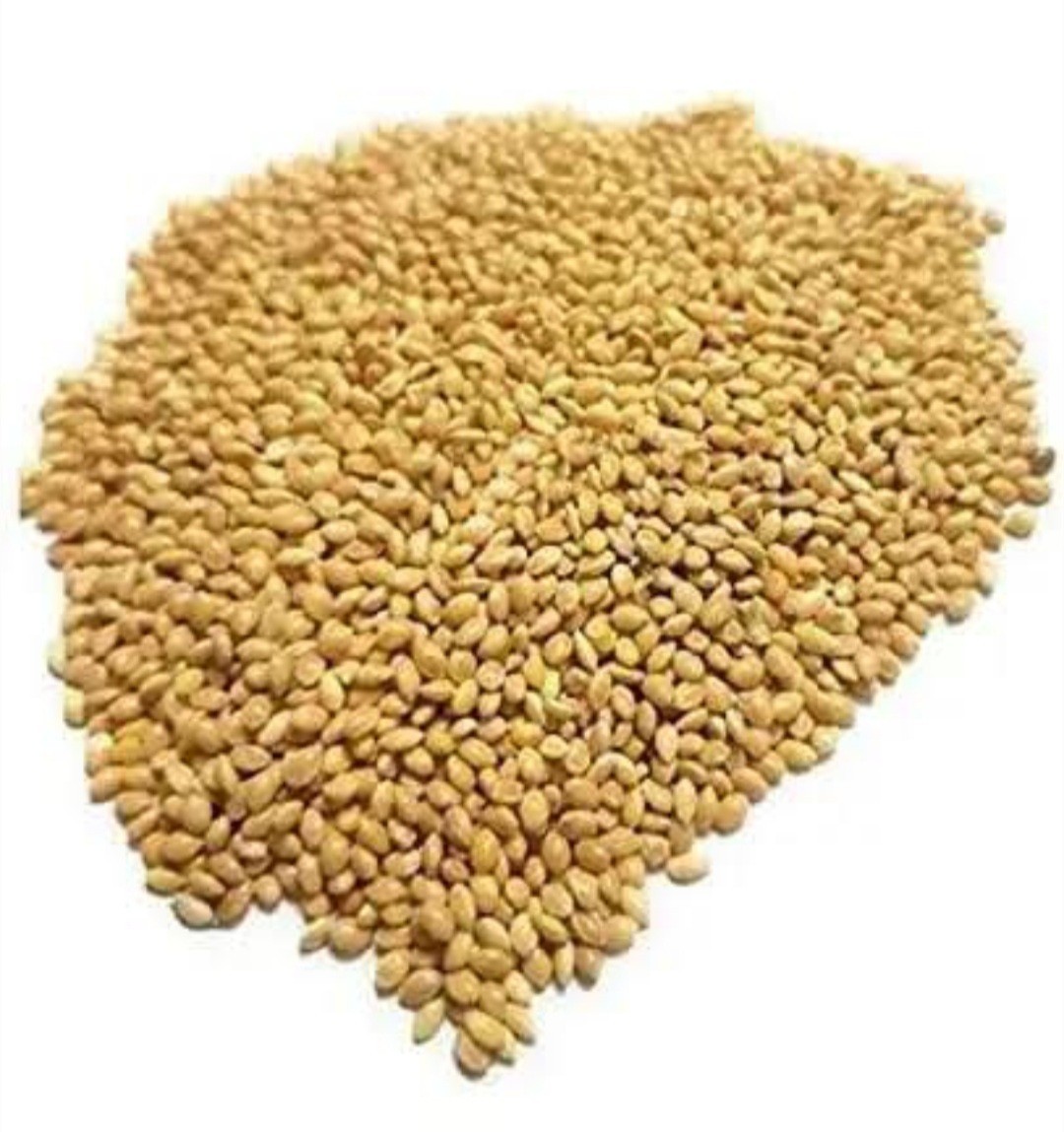 Kangni Beej -Naj Kangani Beej – Kangni Seeds – Foxtail Millets – Kakum Beej –