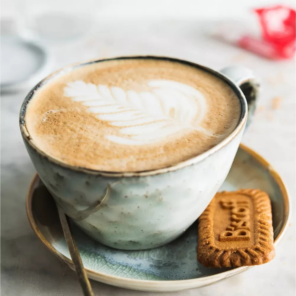 Biscoff Classic Biscuits 8.8 oz