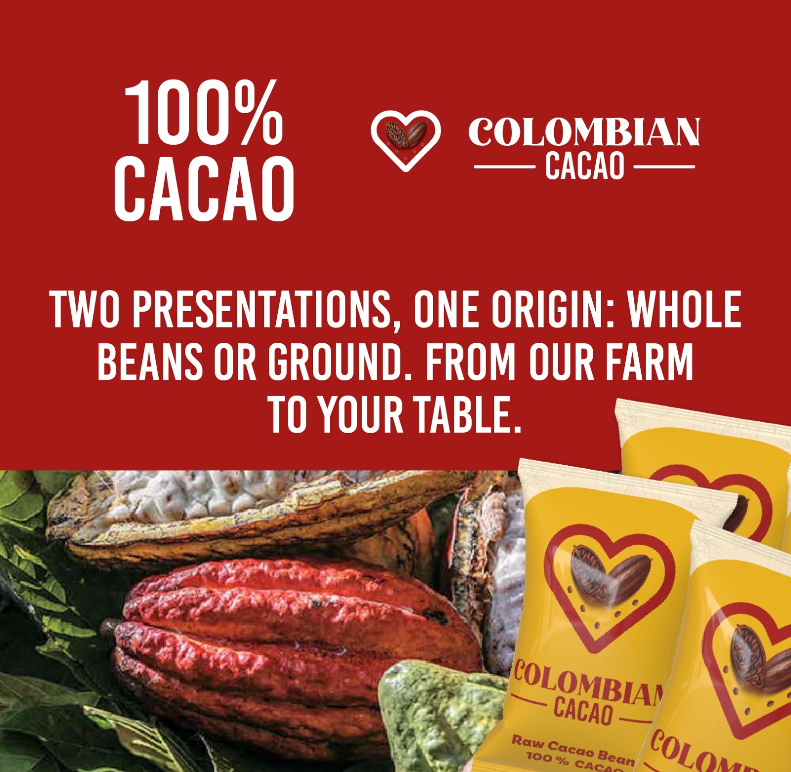 Roasted Cacao Beans | 100% Pure Colombian Cacao | Natural Chocolate Superfood |