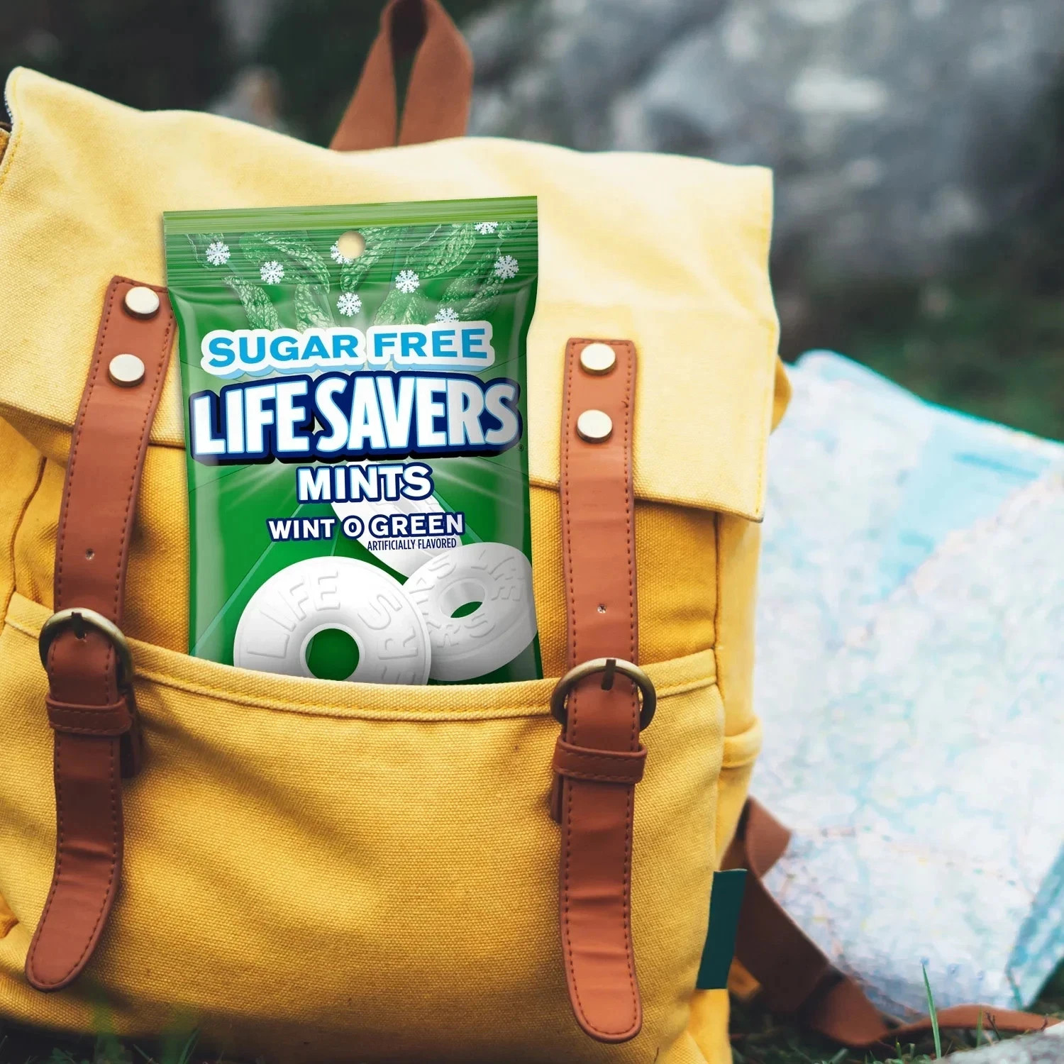 Life Savers Sugar Free Variety Bundle Breath Mints Hard Candy 2.75oz (Pack of 4)