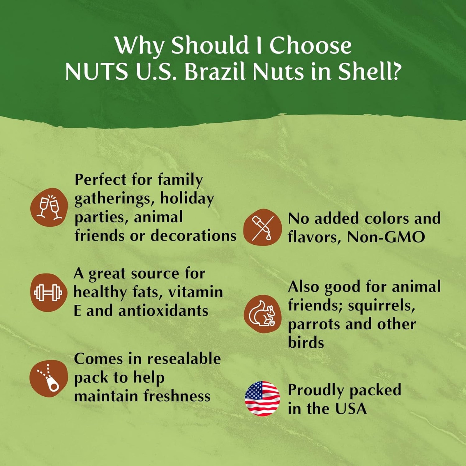 Brazil Nuts In Shell, No Added Colors, No Artificial Flavors, Raw, Non-GMO