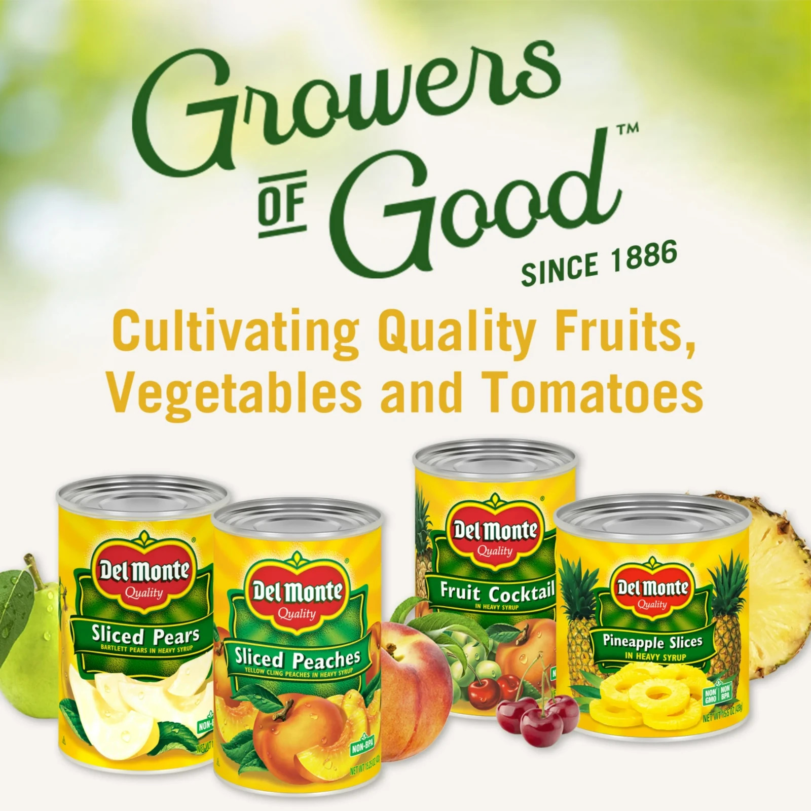Del Monte Fruit Cocktail in Heavy Syrup Can Canned Mixed Fruit 15.25 oz