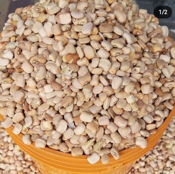 Honey (Oloyin) Beans -10lbs. Hand Picked & Ready To Cook. 10lb
