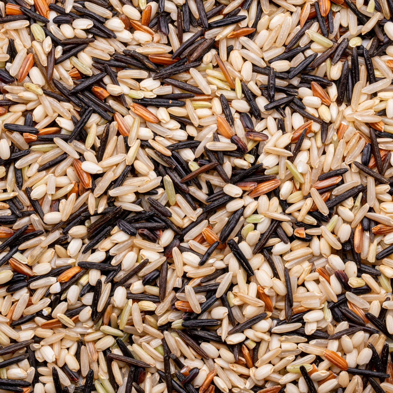 Lundberg Sustainable Wild Blend Rice – Gluten Free, Vegan, 1lb Resealable Bag
