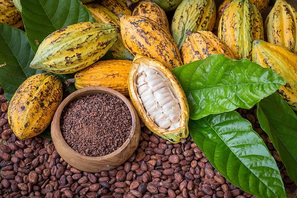 Organic Cacao Nibs – Unsweetened, Non-GMO, Kosher, Raw, Vegan, Sirtfood, Bulk