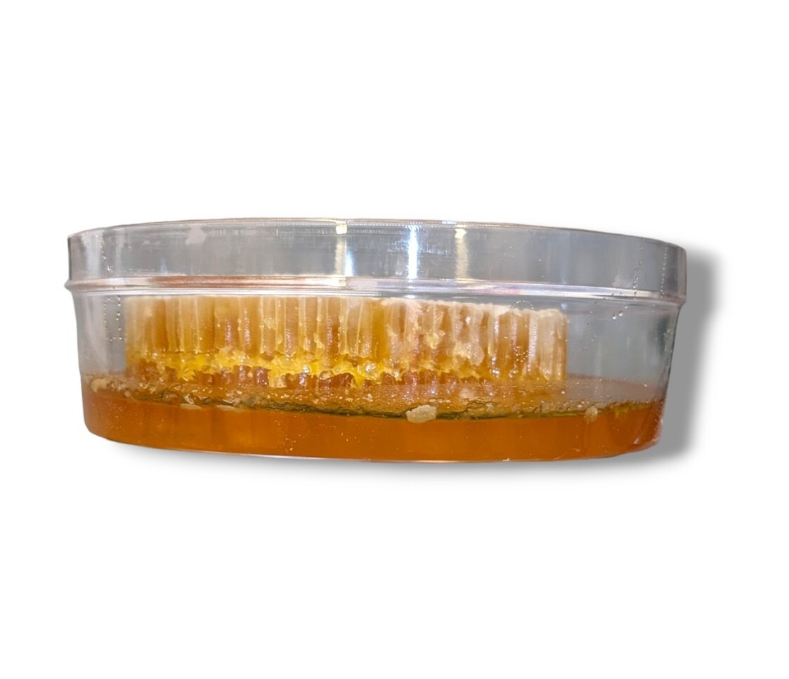 HONEYCOMB 2 Pack 17.6oz 500g each 100% PURE UNFILTERED HONEY COMB DELICIOUSNESS