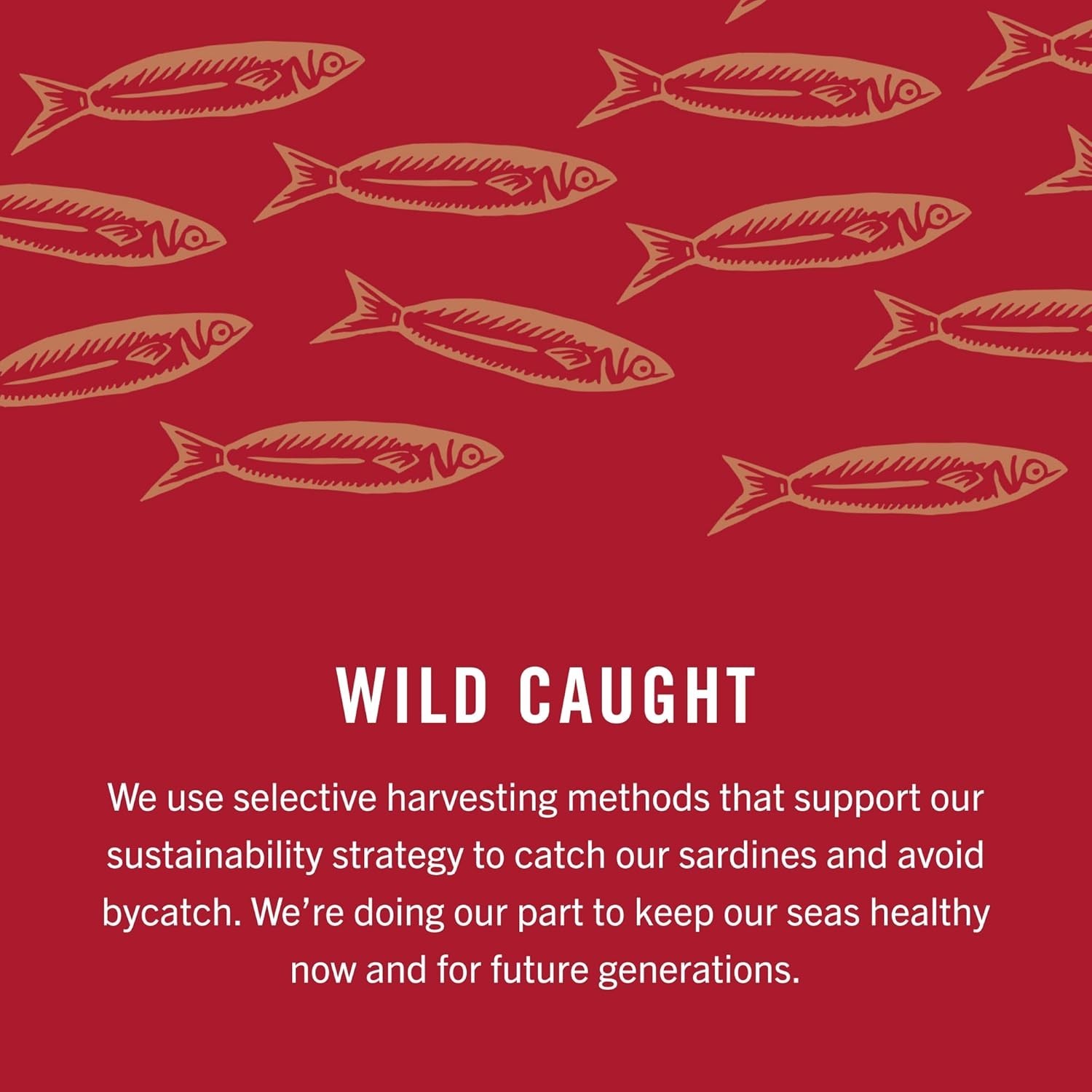 Sardines in Zesty Tomato Sauce, 3.75 Ounce Cans Pack of 12, Wild Caught Canne…