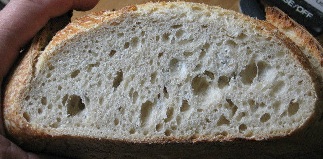 OUR SAN FRANCISCO SOURDOUGH STARTER yeast flour mix sally TOP SELLER @