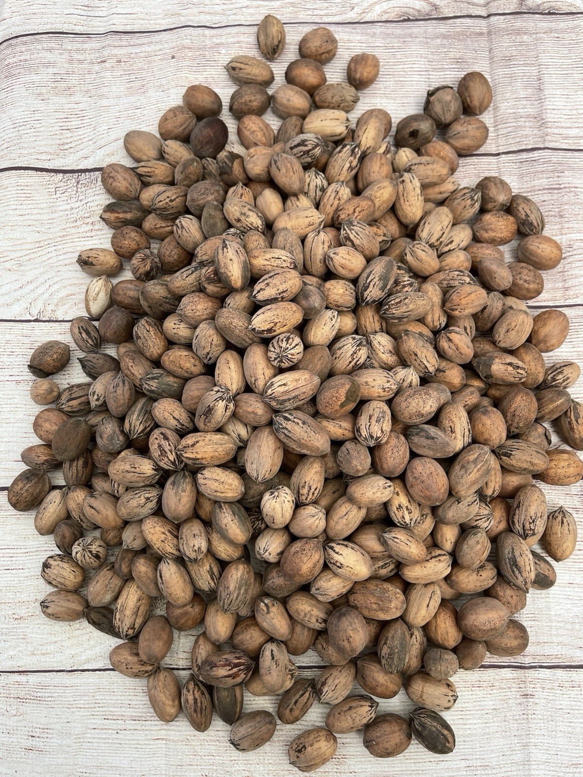 Organic Texas Pecans 5 LBS Raw in Shell – Non GMO