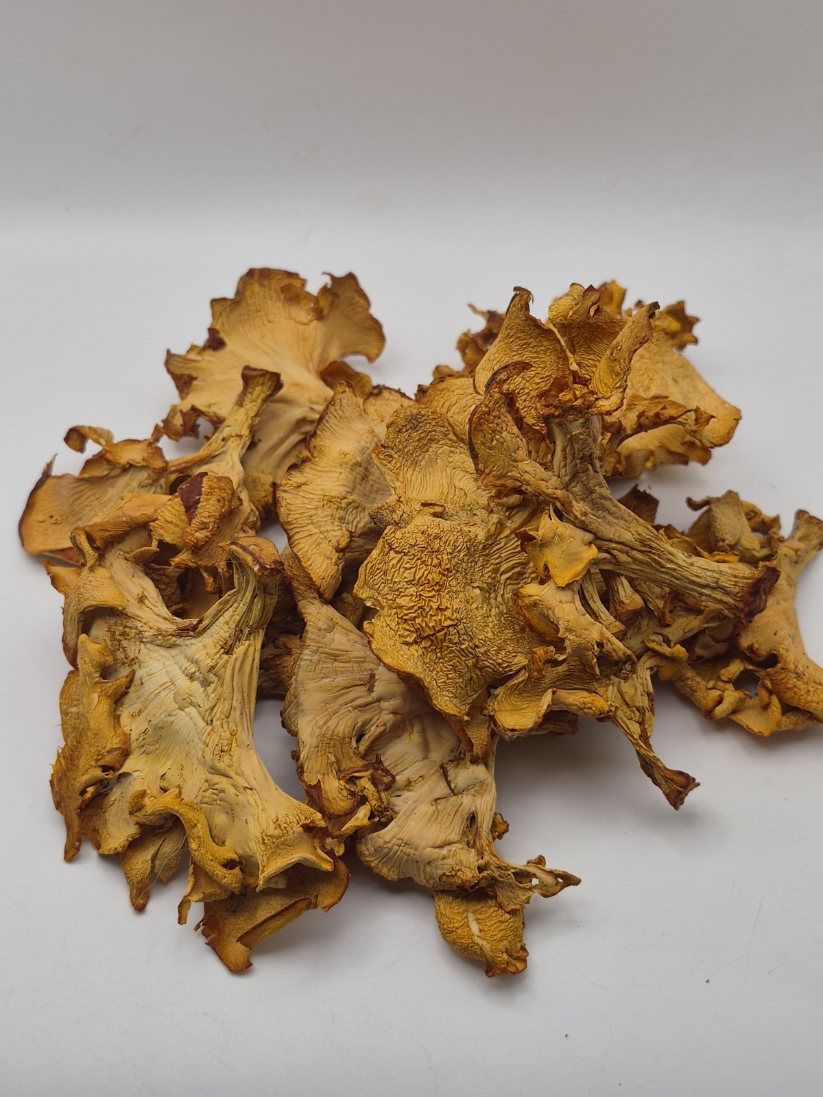 Dried Wild Golden Chanterelle Mushrooms Oklahoma June 2026 1oz