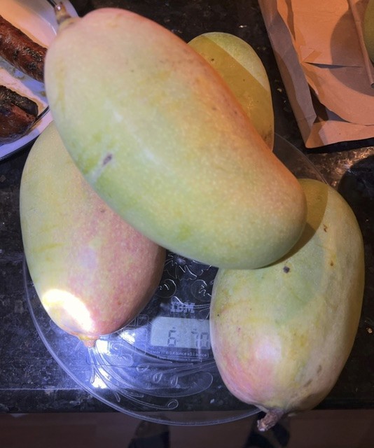 8-9 lbs Valencia Pride fresh mango fruit from Florida