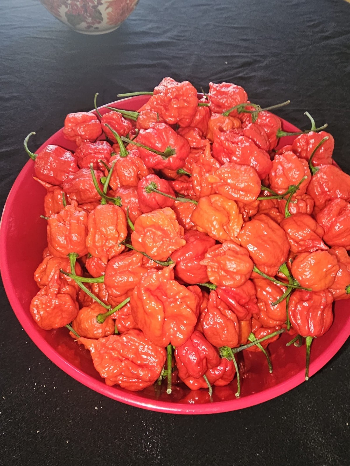 Zozoma Farms 3 Pounds Carolina Reaper Chili Peppers