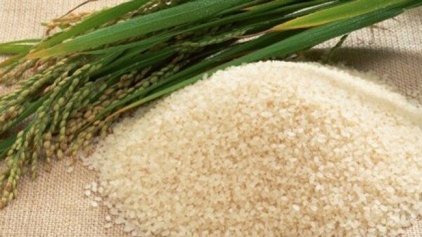 Puffed Rice Cereal Whole Grain | 4oz to 5lb | 100% Pure Natural Hand Crafted