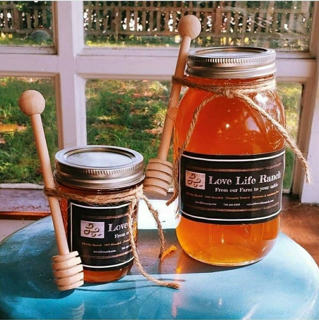 Raw Natural Orange Blossom Honey from Florida