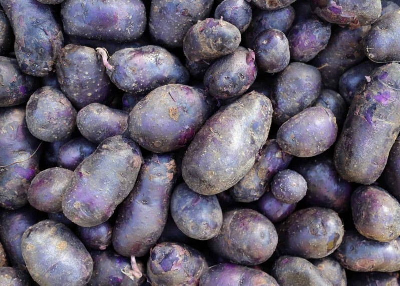 Purple Sweet Potato Powder| 4oz to 5lb | 100% Pure Natural Hand Crafted