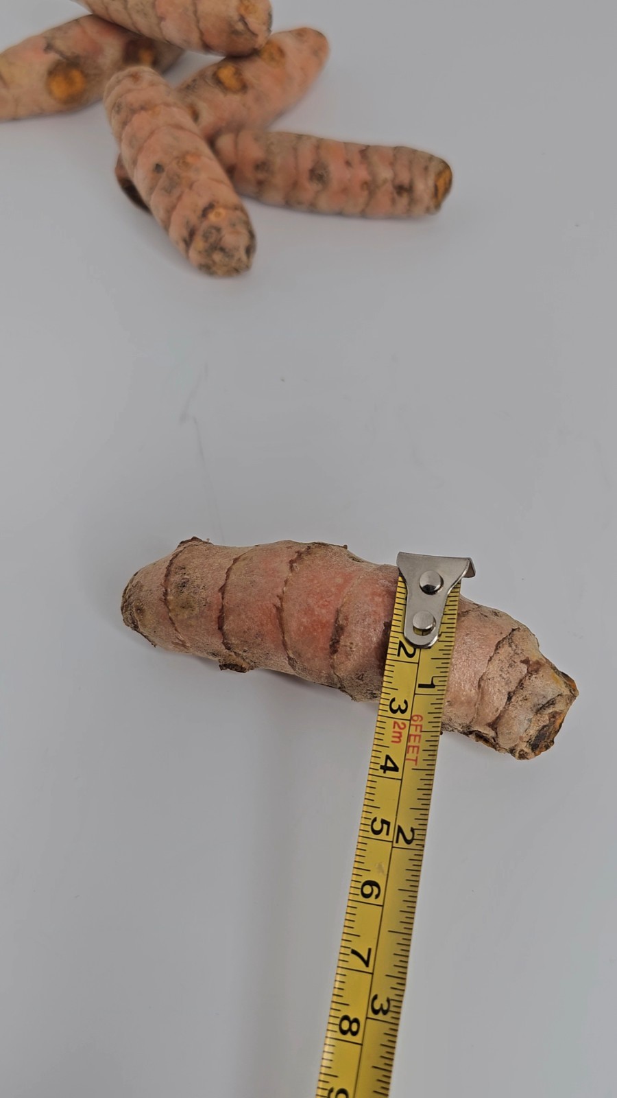 Tumeric
