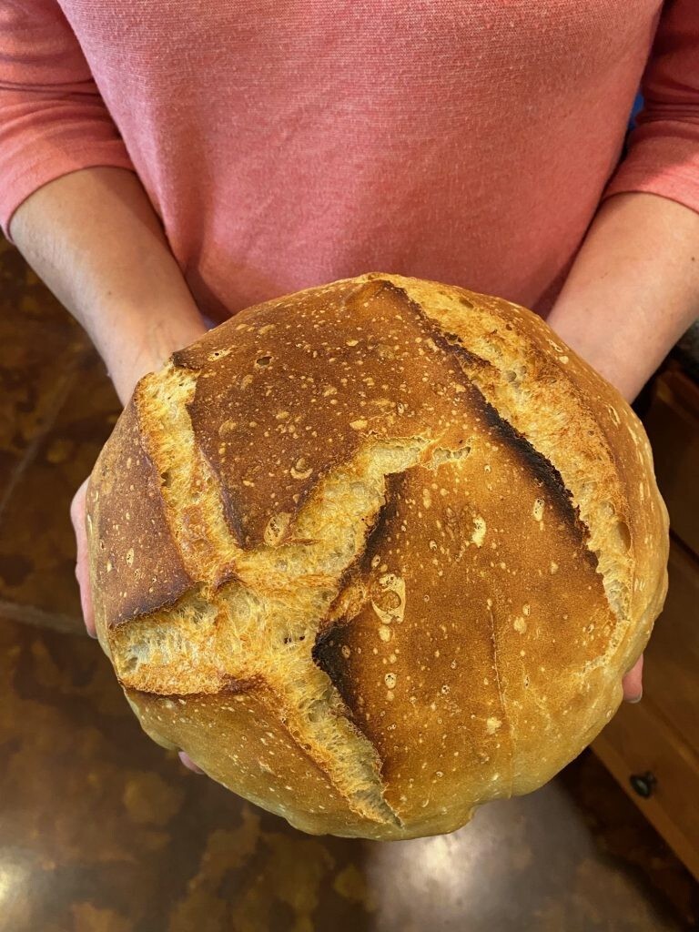 Sourdough Starter Dehydrated Sour Organic San Francisco – 15 Gram Bag