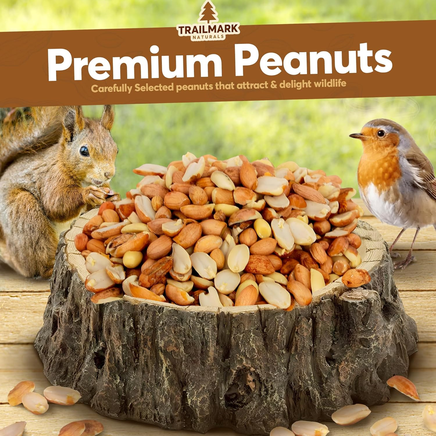 11 LB – Raw Shelled Peanuts for Squirrels, Out of Shell Peanuts for Birds and Wi