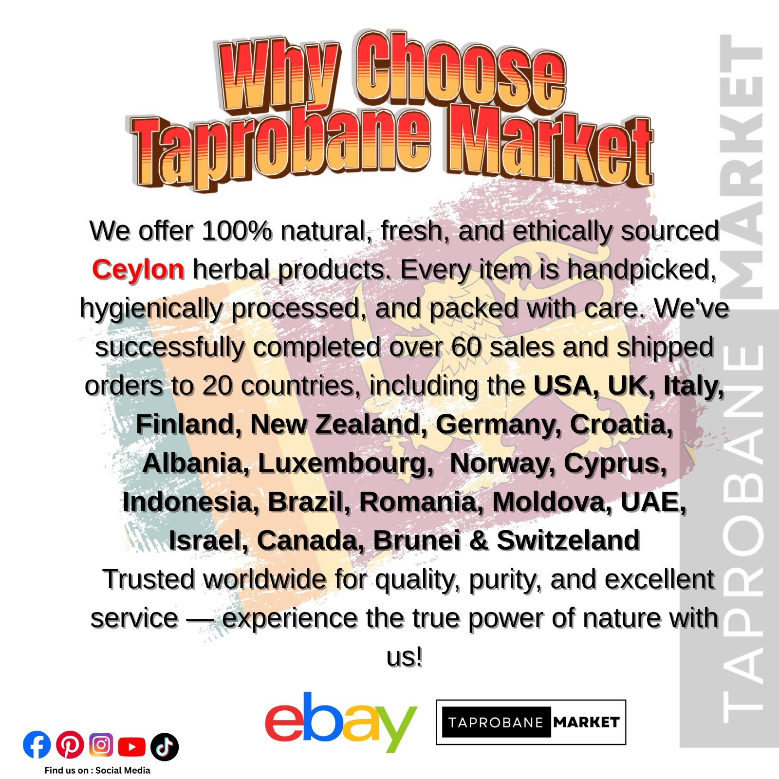 Organic Ceylon Green Cardamom Pods | Whole Fresh Non-GMO Spice
