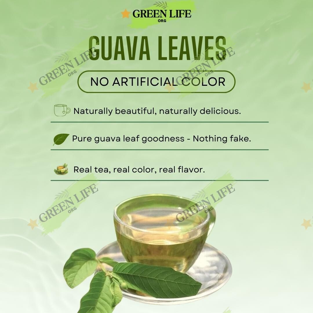 300+ Dried Quava Leaves Tea, Organic, Premium Quality, Sunny Dry, 5.5oz.
