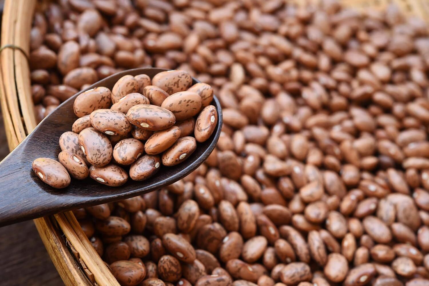 Organic Pinto Beans – Sproutable, Non-GMO, Kosher, Raw, Vegan – by Food to Live