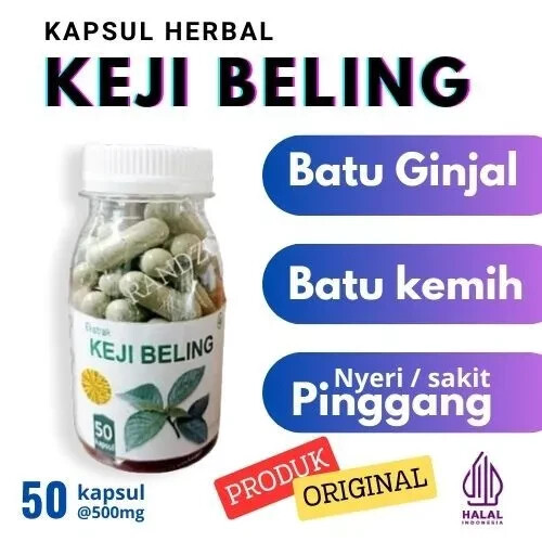 keji beling Natural Organic Herbs Spices Fresh Pure Hygienic Premium Original