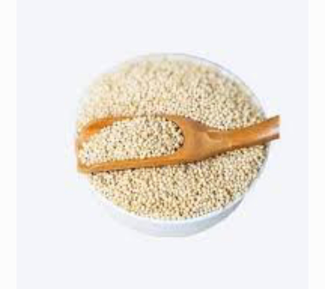 Kangni Beej -Naj Kangani Beej – Kangni Seeds – Foxtail Millets – Kakum Beej –