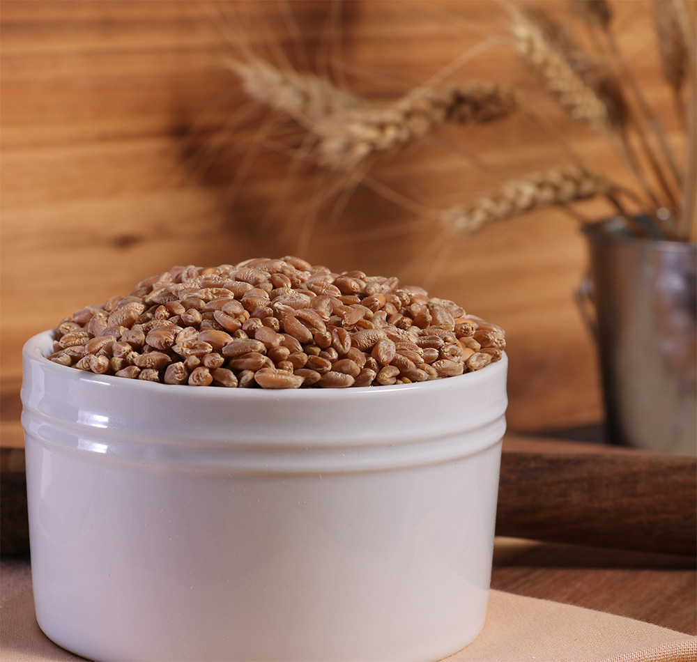 Organic Hard Red Wheat Berries – 3lbs