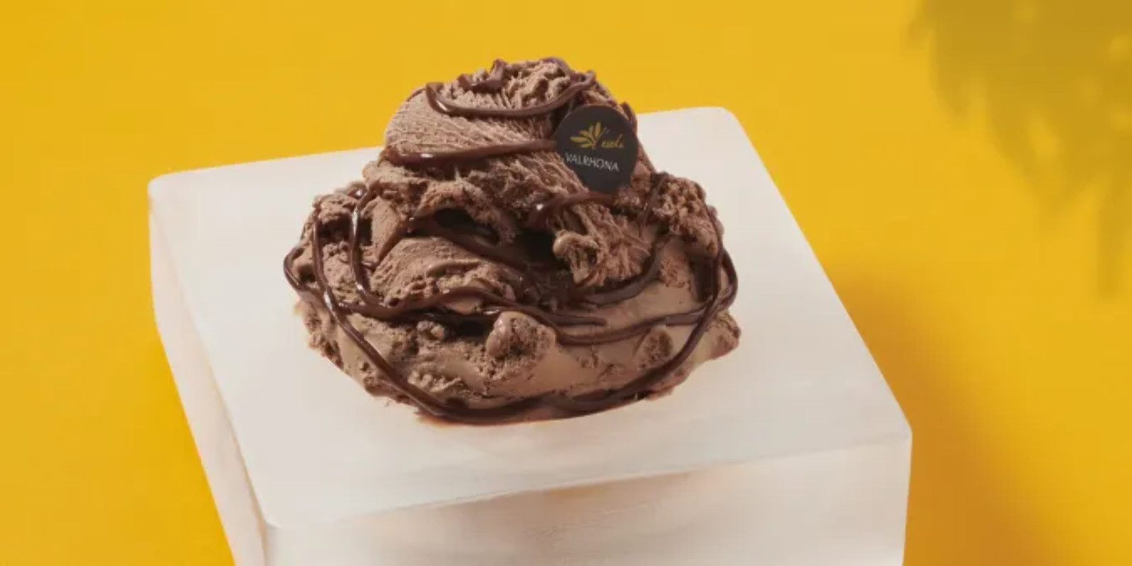 Valrhona Abinao 85% French Dark Couverture Chocolate Feves