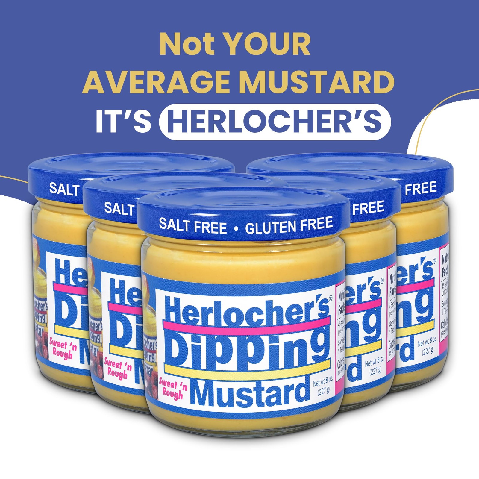 Herlocher’s Dipping Mustard – Pack of 2 | Sweet & Tangy 8 oz (Pack 2)