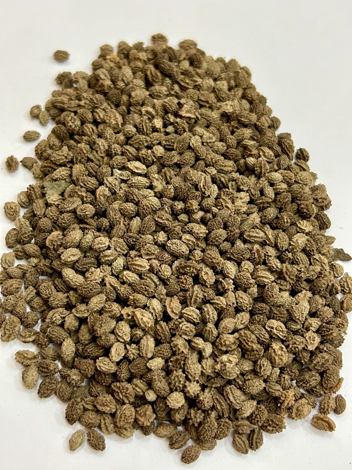 Natural Papaya Seeds,Dried Papaya Seeds, Organic Papaya Seeds,Jadi Buti Papaya