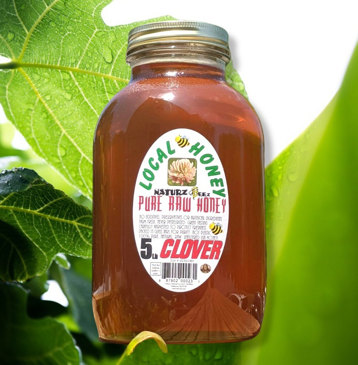 RAW HONEY CLOVER 5 LB 2268g 100% PURE RAW UNFILTERED HONEY In Glass