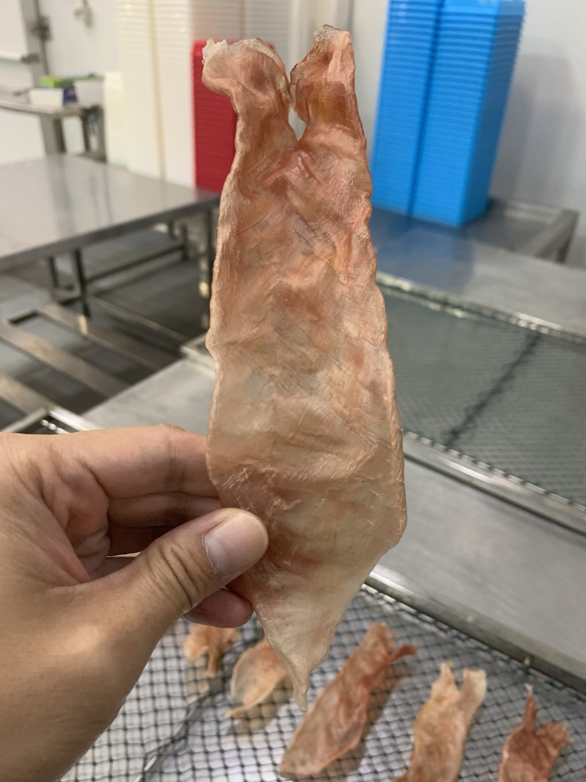 Australia Dried Fish Maw/Bladders / 澳洲花膠/花胶 250g