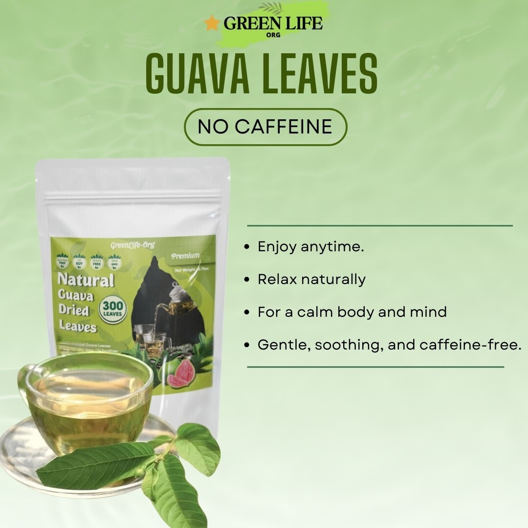 300+ Dried Quava Leaves Tea, Organic, Premium Quality, Sunny Dry, 5.5oz.