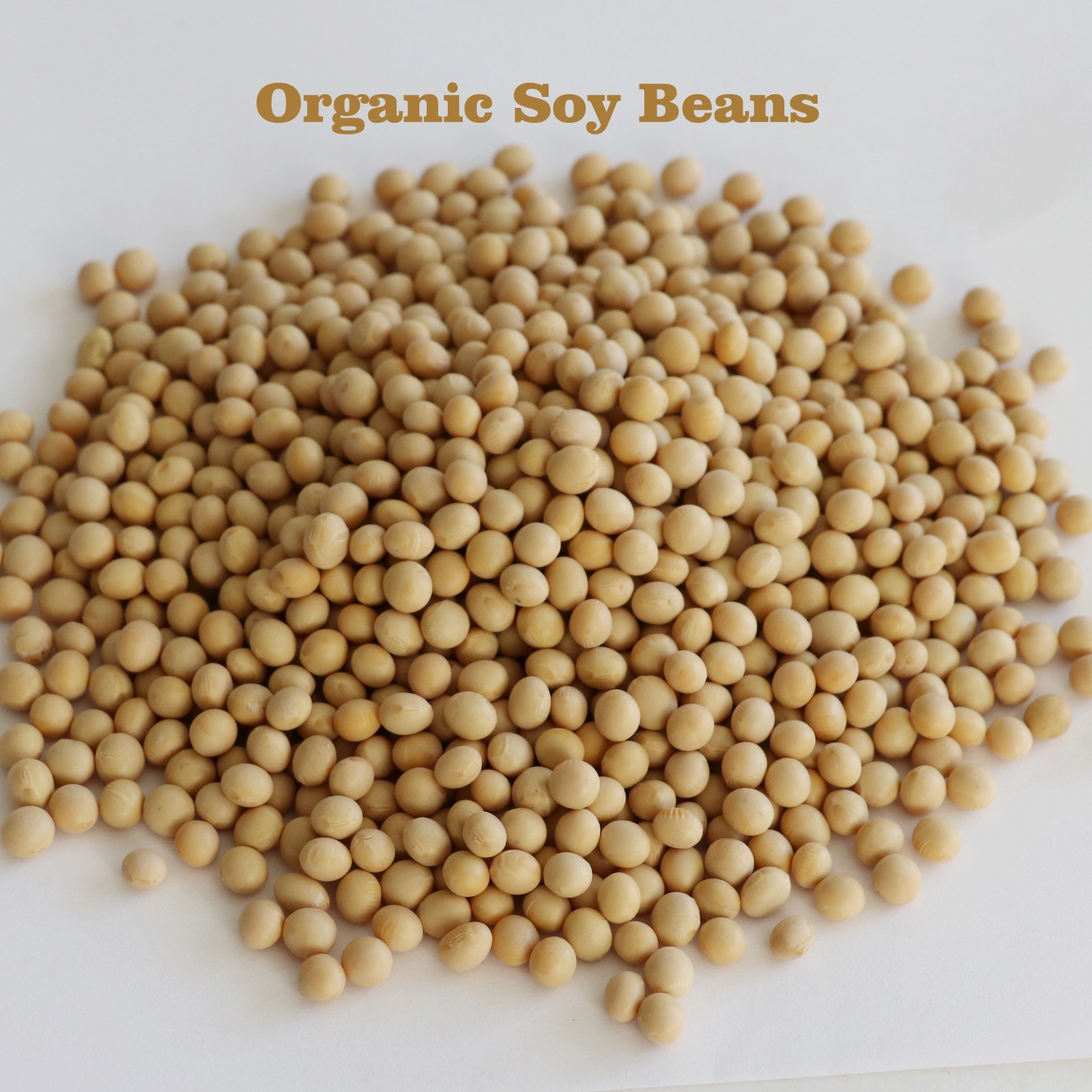 Organic Soy beans, bulk soya soybeans Non-gmo