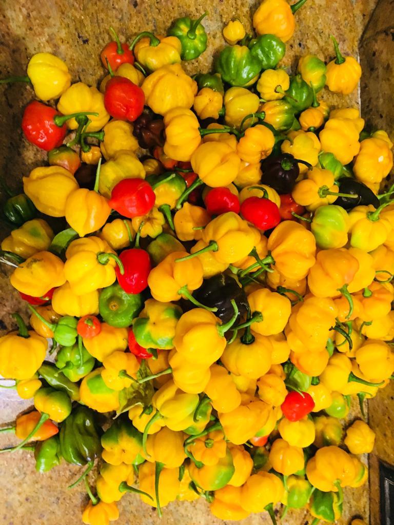 Carolina Reaper, Ghost, Scotch Bonnet, Habanero Peppers Organic Flakes VERY HOT!