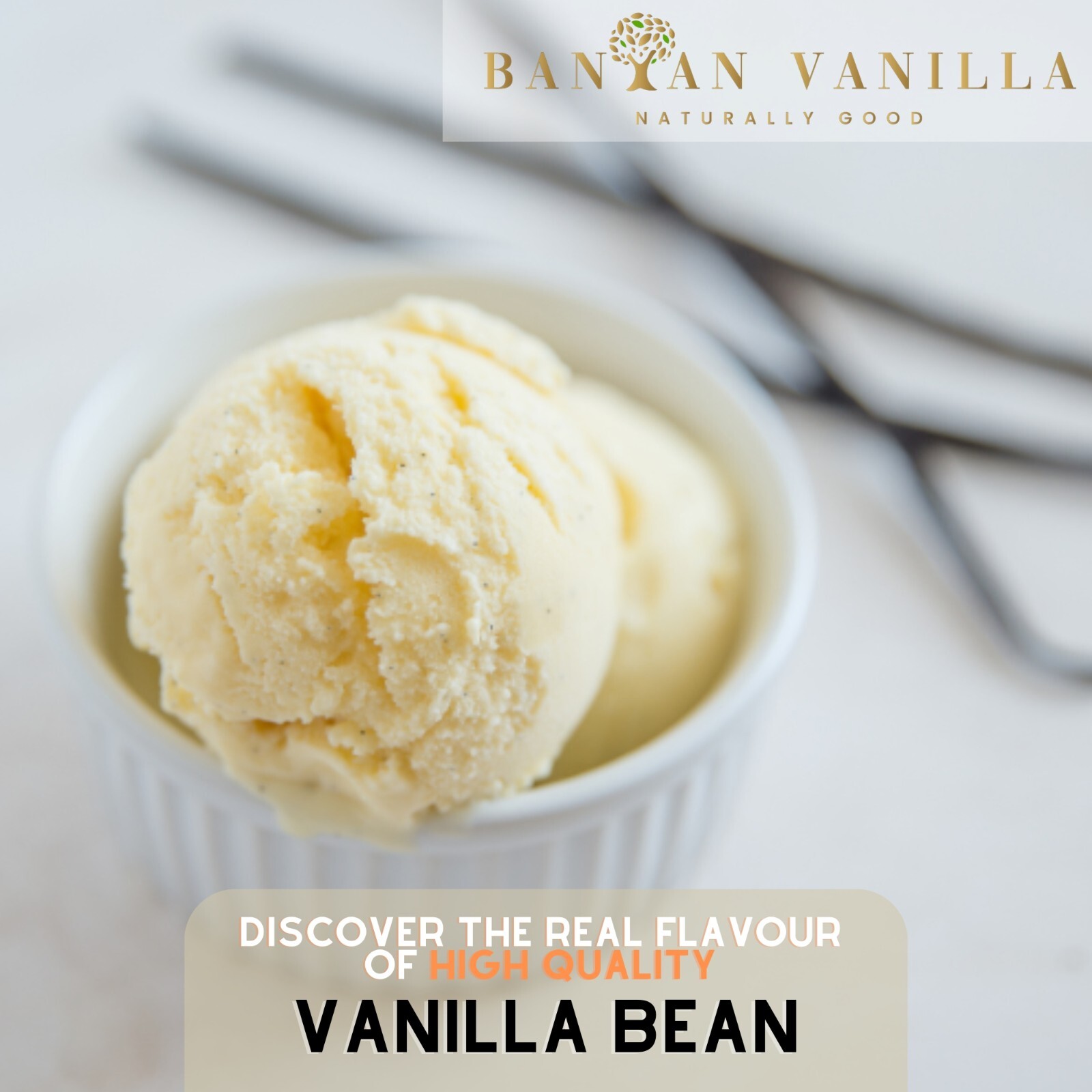VANILLA BEANS Bourbon/Planifolia Grade A, 16 + cm, Free Shipping with tracking