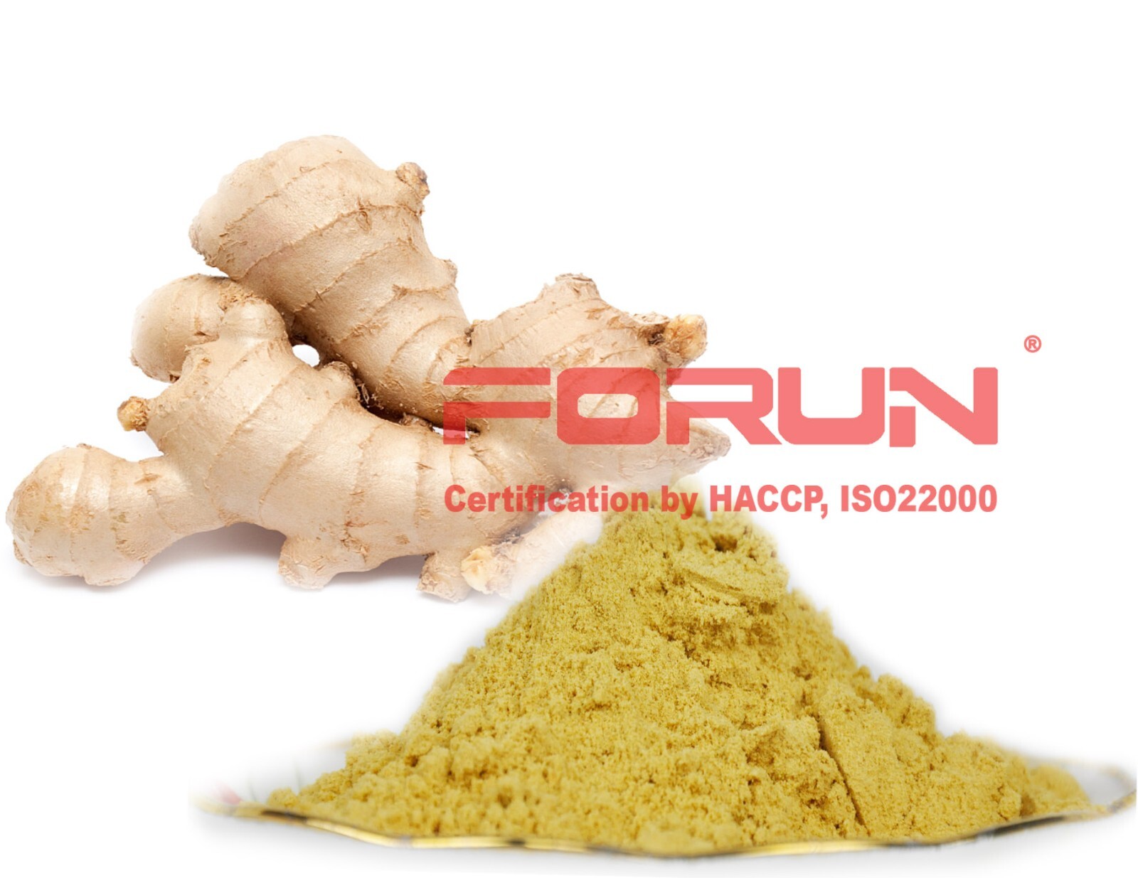 FORUN Organic Pure Ginger Ground Powder 1KG – Strong Flavour