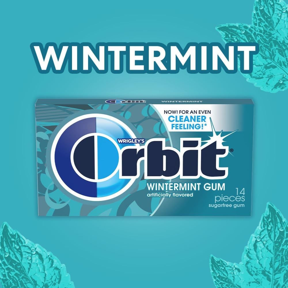 Wintermint Sugar Free Individually Wrapped Chewing Gum Mint Bulk Box, 336 Tot…