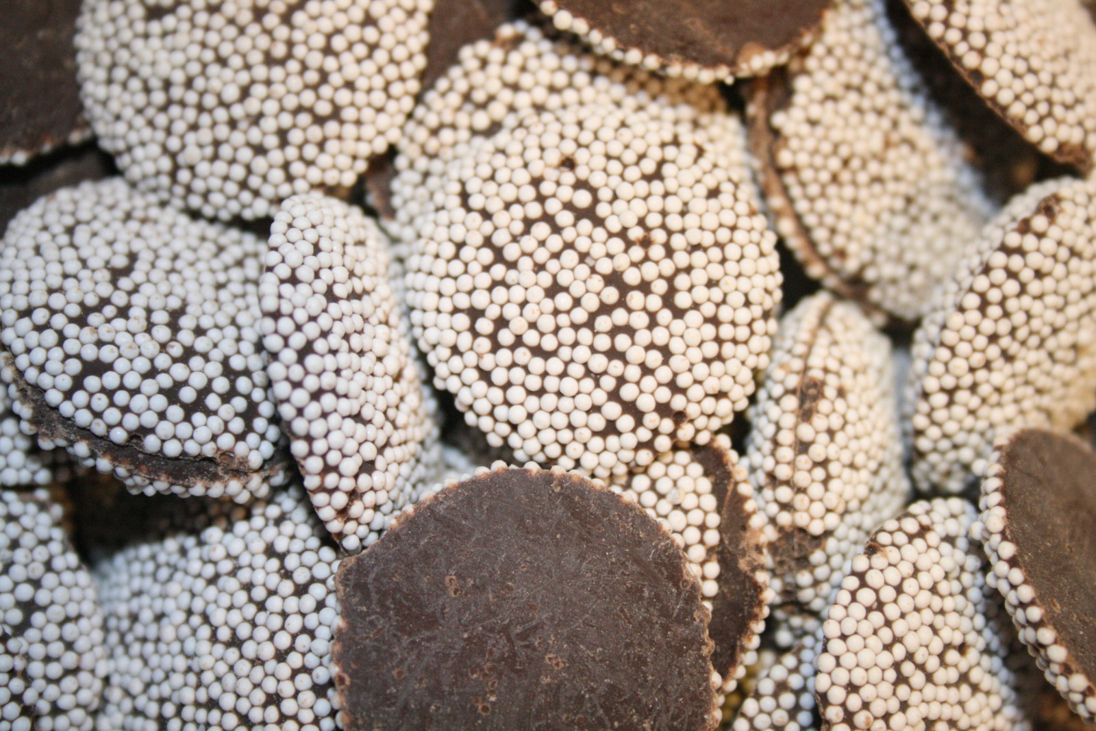 DARK CHOCOLATE NONPAREILS, 2LBS